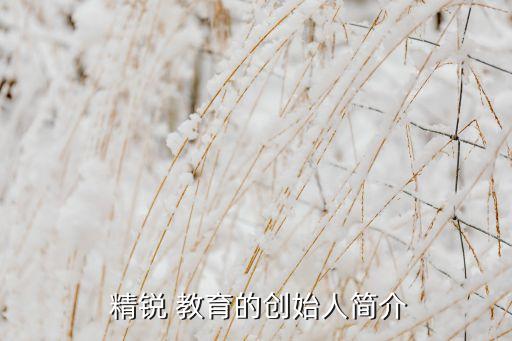  精銳 教育的創始人簡介