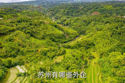 河南家樂置業有限公司法人,廣州家樂置業有限公司開發的樓盤