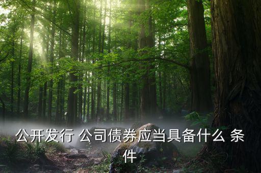 發公司債的條件,公司債上市條件