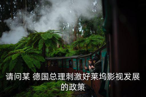 請問某 德國總理刺激好萊塢影視發展的政策