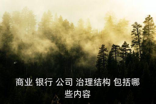 商業 銀行 公司 治理結構 包括哪些內容