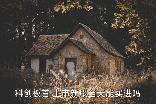 科創板首 上市新股當天能買進嗎