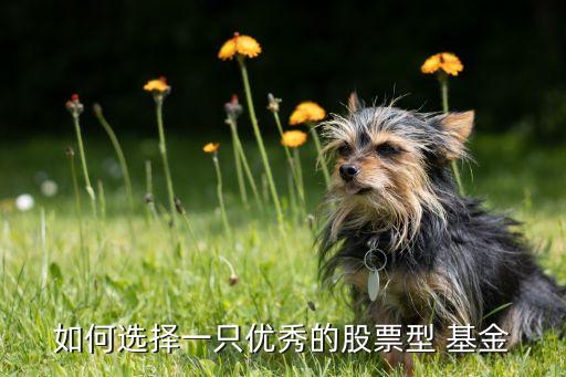 如何選擇一只優秀的股票型 基金