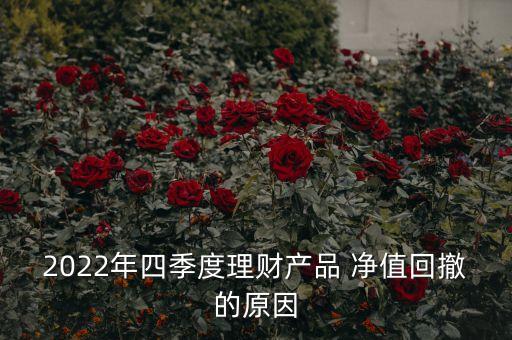 2022年四季度理財產品 凈值回撤的原因