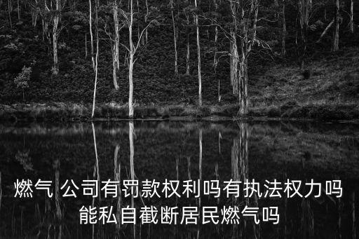 燃氣 公司有罰款權利嗎有執法權力嗎能私自截斷居民燃氣嗎