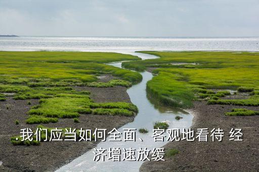.我們應當如何全面、客觀地看待 經濟增速放緩