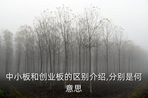 中小板和創業板的區別介紹,分別是何意思
