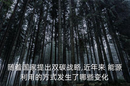隨著國家提出雙碳戰略,近年來 能源利用的方式發生了哪些變化