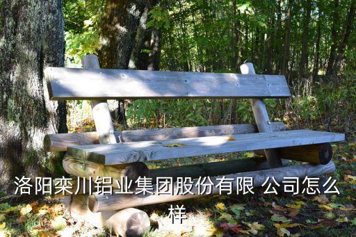 洛陽欒川鋁業集團股份有限 公司怎么樣