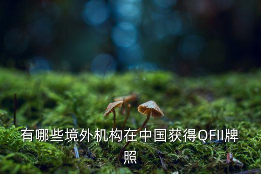 韓國投資金融控股公司,金融控股公司設立的現實意義