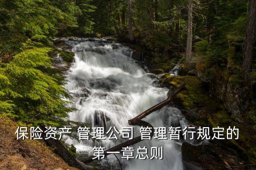 保險資產 管理公司 管理暫行規定的第一章總則