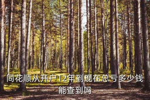 同花順從開戶12年到現在總虧多少錢能查到嗎
