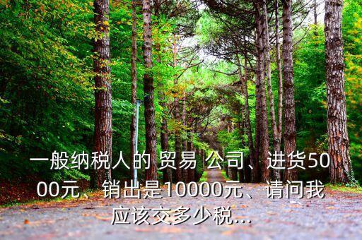 一般納稅人的 貿(mào)易 公司、進(jìn)貨5000元、銷出是10000元、請(qǐng)問(wèn)我應(yīng)該交多少稅...