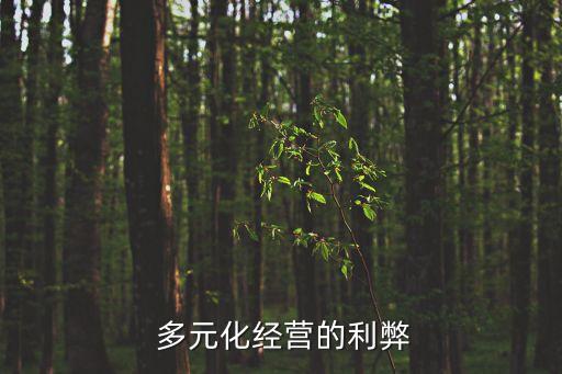 中國企業相關多元化