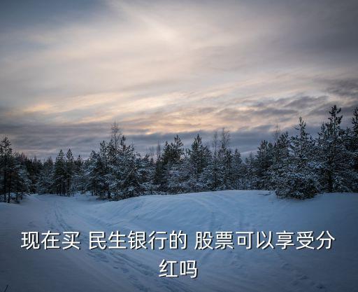 現在買 民生銀行的 股票可以享受分紅嗎