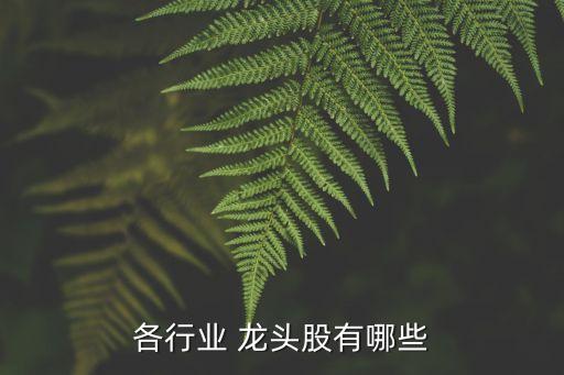 各行業 龍頭股有哪些