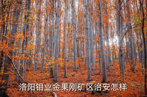 欒川鉬業公司