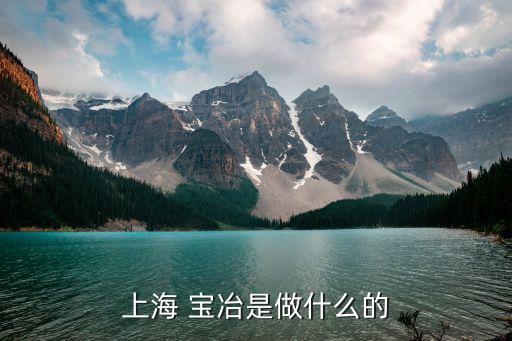 寶冶集團合并,上海寶冶集團新的領導名單