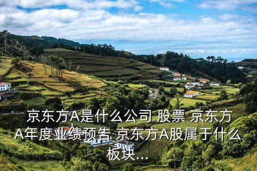  京東方A是什么公司 股票 京東方A年度業績預告 京東方A股屬于什么板塊...