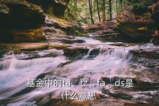  基金中的ta、tz、fa、ds是什么意思