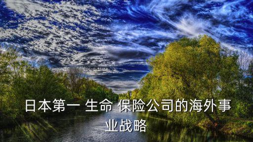  日本第一 生命 保險公司的海外事業戰略