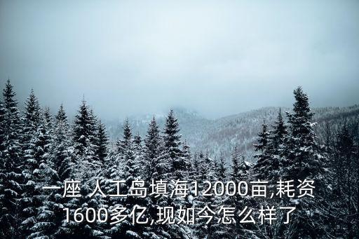 一座 人工島填海12000畝,耗資1600多億,現如今怎么樣了