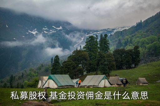 常州賽伯樂發展基金,賽伯樂基金的簡介