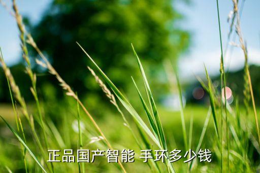 正品國產智能 手環多少錢