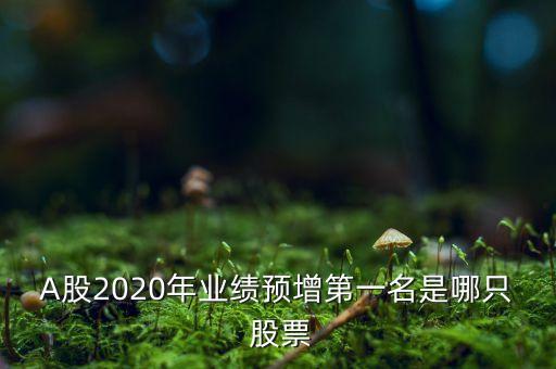 A股2020年業績預增第一名是哪只 股票