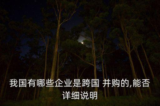 我國有哪些企業是跨國 并購的,能否詳細說明