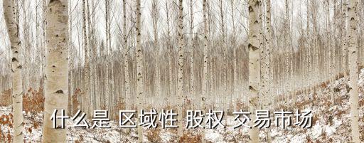 什么是 區域性 股權 交易市場