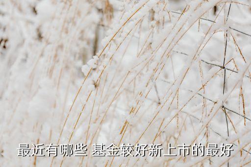 寶盈祥瑞養老基金