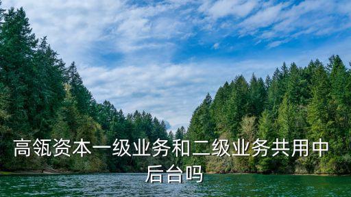 高瓴資本一級業務和二級業務共用中 后臺嗎