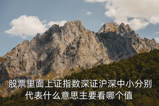  股票里面上證指數深證滬深中小分別代表什么意思主要看哪個值