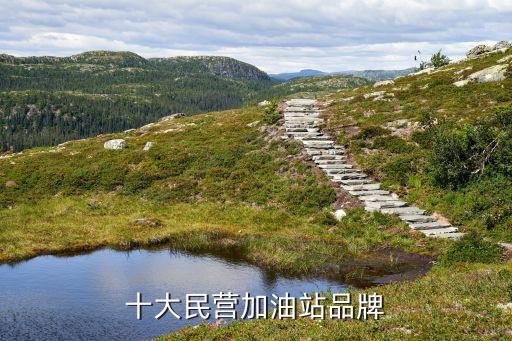 廣州發展碧辟油品有限公司簡介