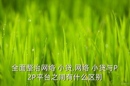 全面整治網絡 小貸,網絡 小貸與P2P平臺之間有什么區別