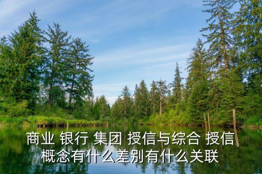外資銀行集團客戶授信,集團客戶授信業務風險管理指引