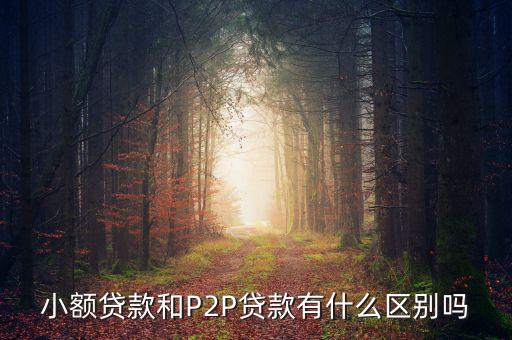 小額貸款和P2P貸款有什么區別嗎