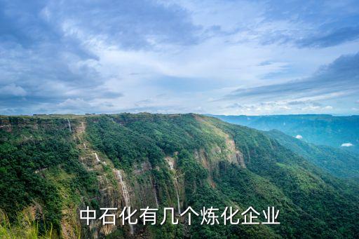 中石化有幾個煉化企業