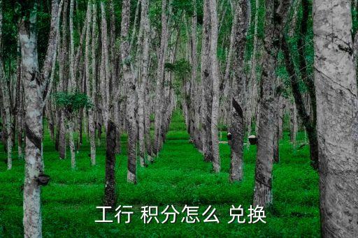 工行網上銀行信用卡積分兌換,工行信用卡積分兌換微信立減金