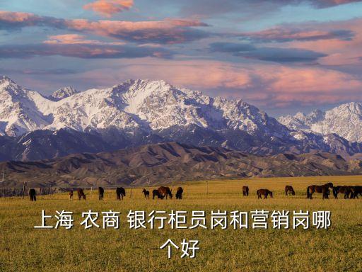 上海農商銀行客服工作怎么樣,農商銀行上海