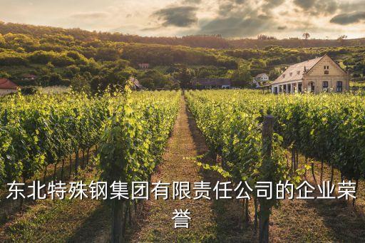 東北特殊鋼集團有限責任公司的企業榮譽