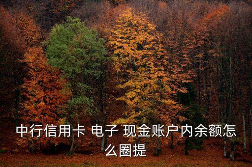 中行信用卡 電子 現金賬戶內余額怎么圈提