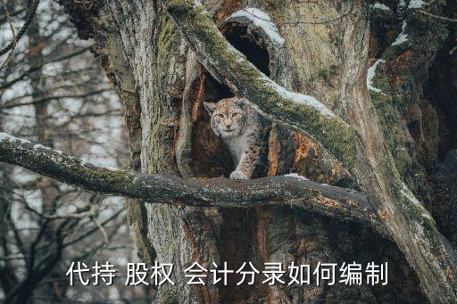 持有待售股權投資會計處理,關于企業持有的股權投資會計處理的表述中