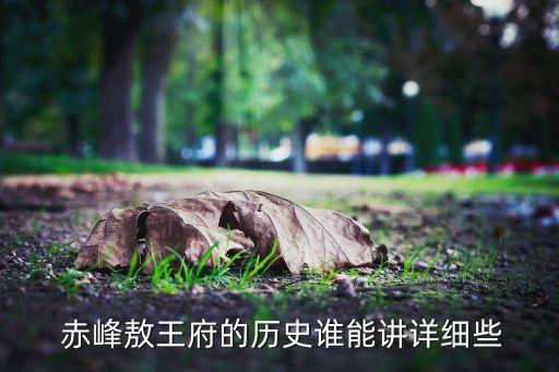 赤峰敖侖花礦業有限公司,赤峰大井子礦業有限公司