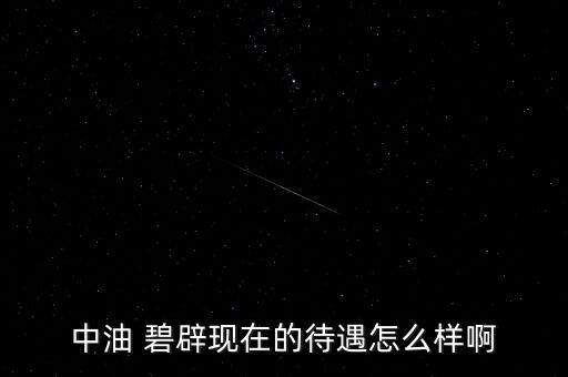 中油 碧辟現在的待遇怎么樣啊