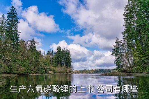 生產六氟磷酸鋰的上市 公司有哪些