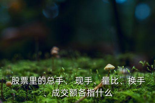  股票里的總手、 現手、量比、換手、成交額各指什么