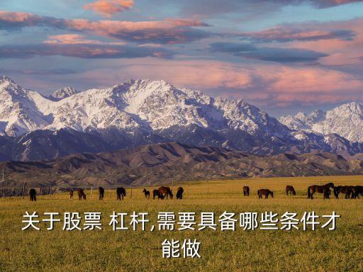 關于股票 杠桿,需要具備哪些條件才能做
