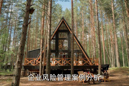 企業風險管理案例分析